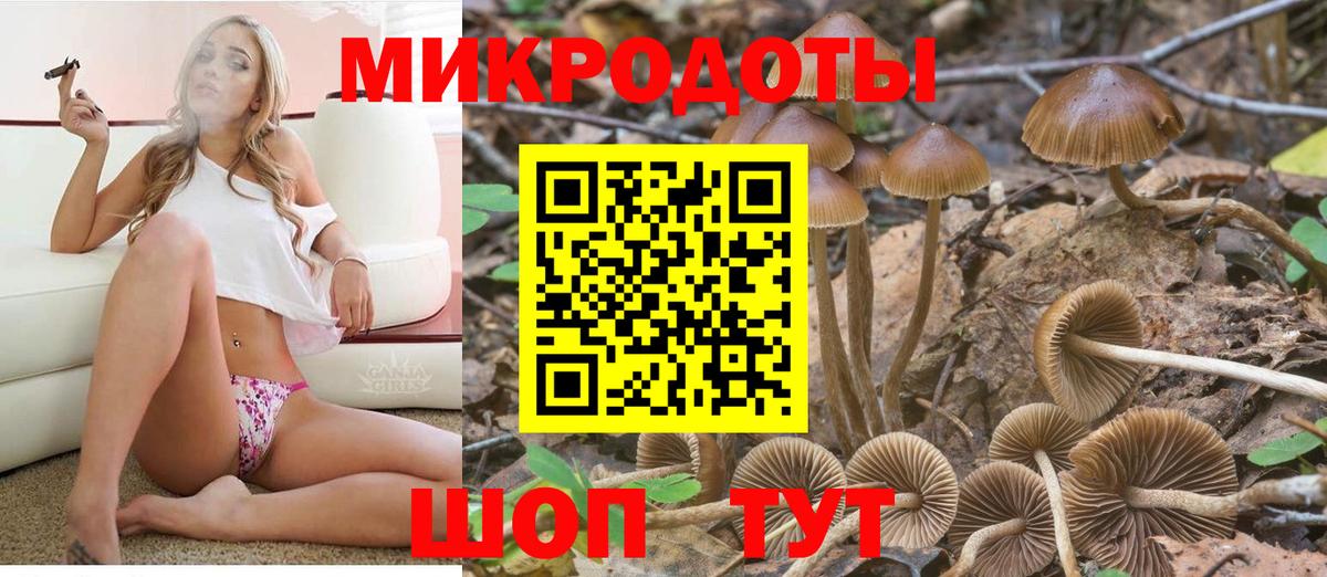Комсомольск-на-Амуре  Галлюциногенные грибы GOLDEN TEACHER  Вход с VPN 